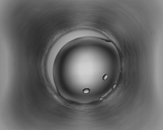 X0000113920485200910011515
