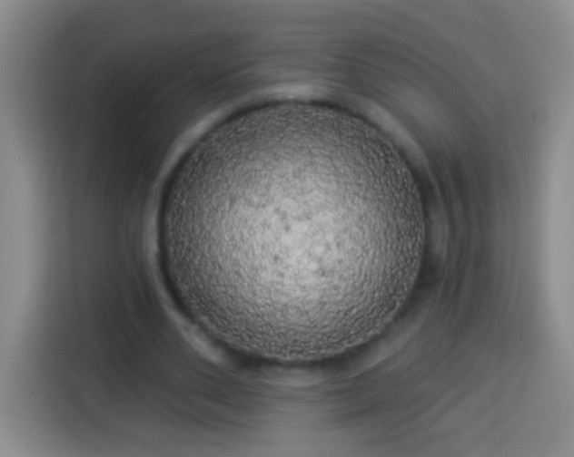 X0000113920486200910011515