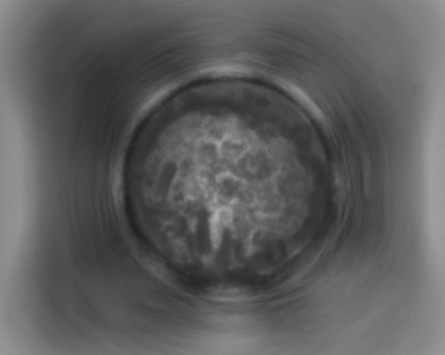 X0000113920487200910011515