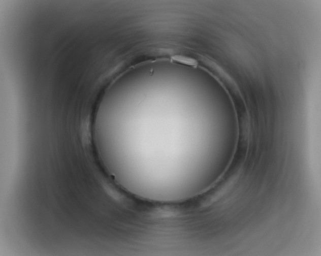 X0000113920489200910011515