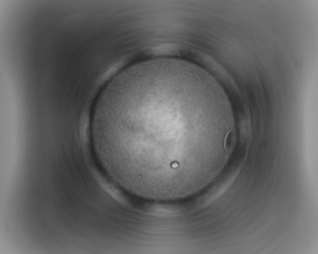 X0000113920490200910011515