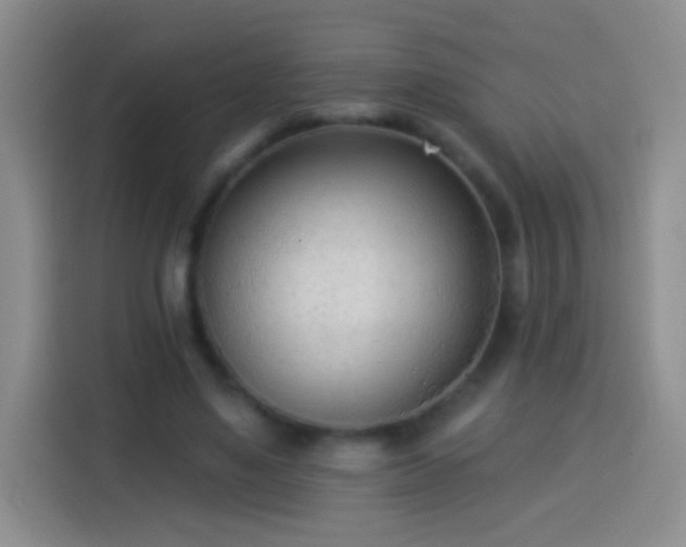 X0000113920491200910011515