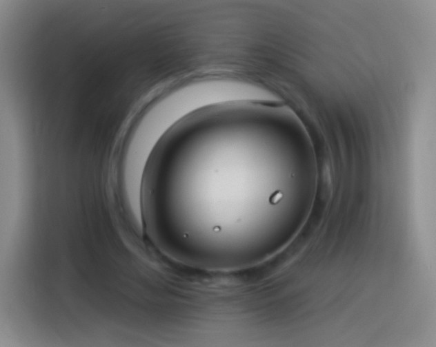 X0000113920492200910011515