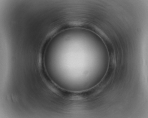 X0000113920494200910011515
