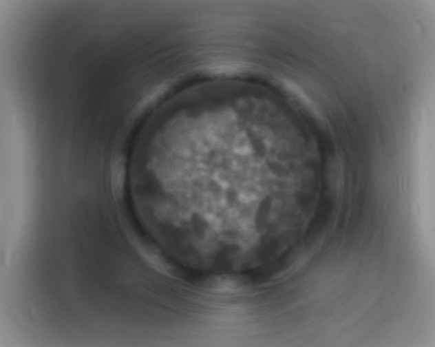 X0000113920495200910011515