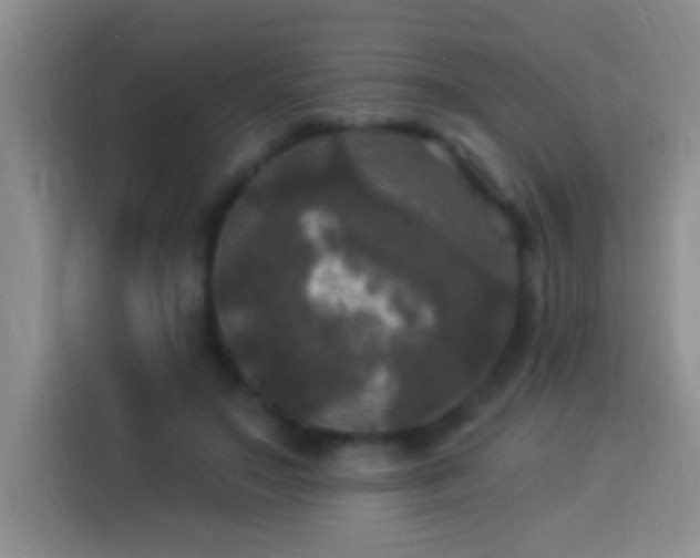 X0000113920499200910011515