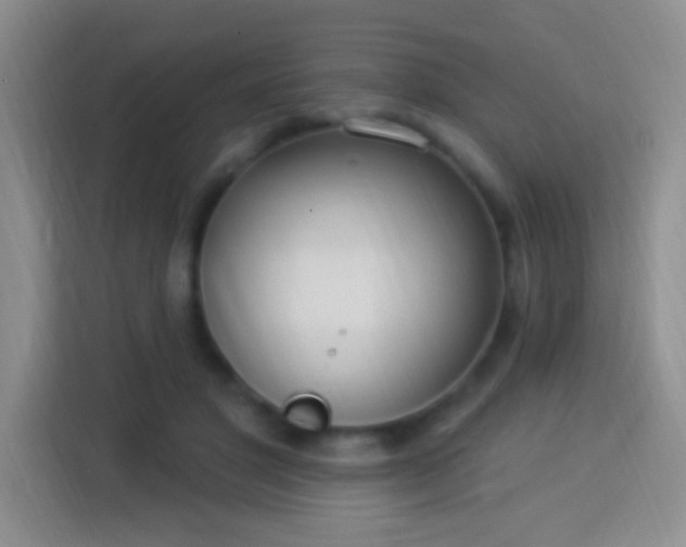 X0000113920501200910011515