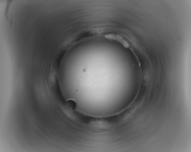 X0000113920503200910011515