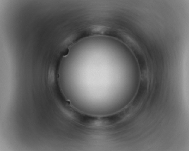 X0000113920504200910011515
