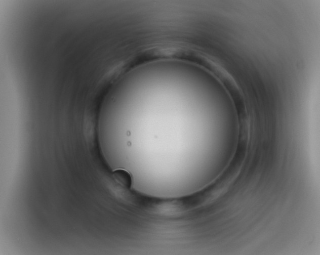 X0000113920505200910011515