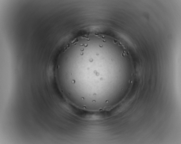 X0000113920506200910011515