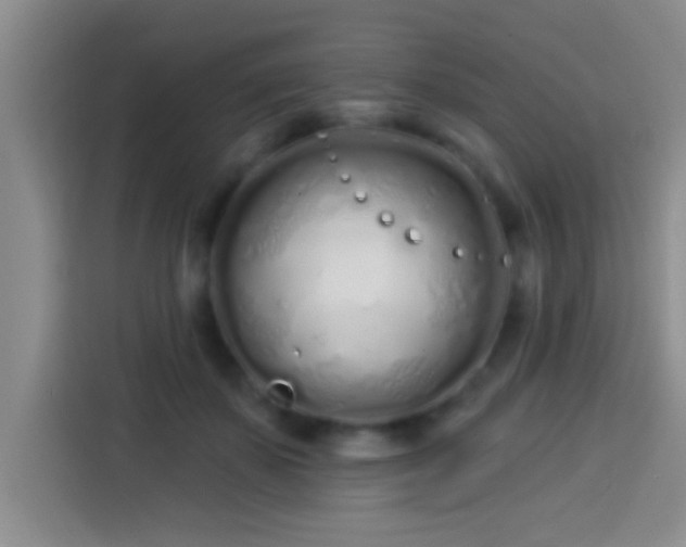 X0000113920507200910011515