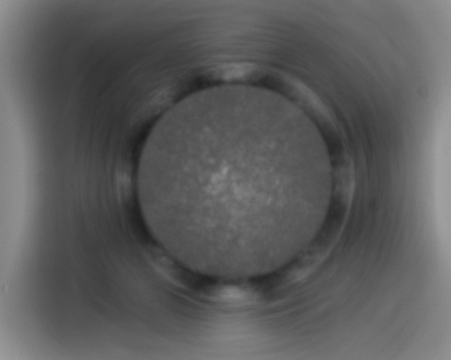 X0000113920510200910011515