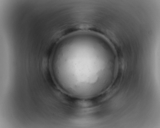 X0000113920511200910011515