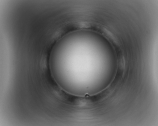 X0000113920512200910011515