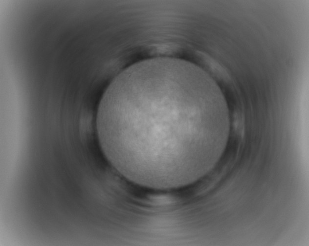 X0000113920514200910011515