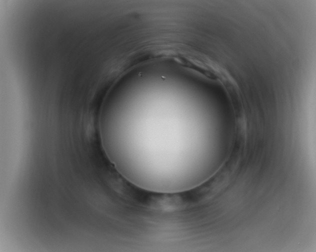 X0000113920517200910011514