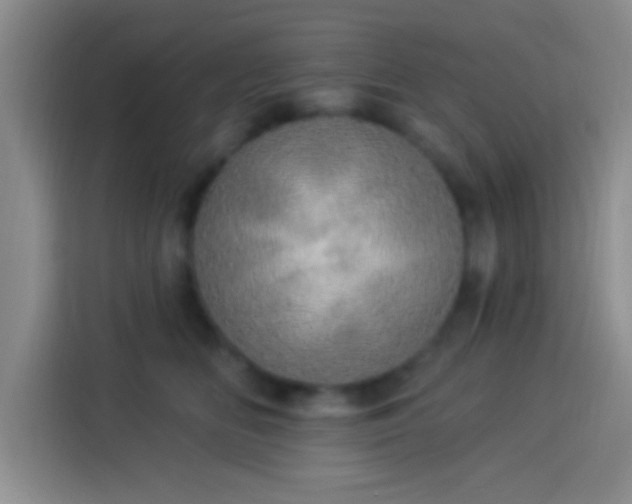 X0000113920518200910011514