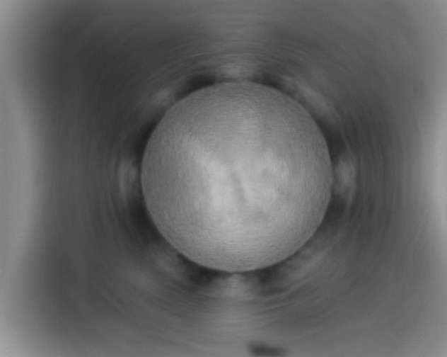 X0000113920522200910011514