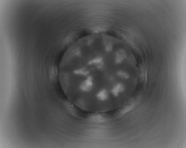 X0000113920523200910011514