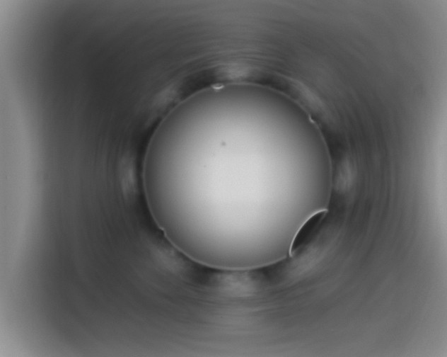 X0000113920524200910011514