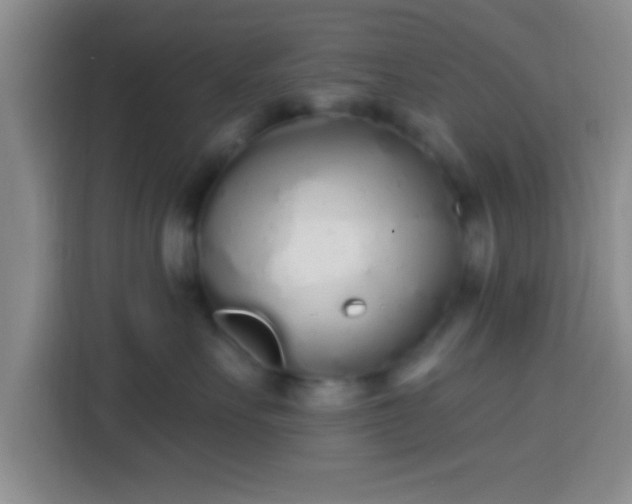 X0000113920527200910011514