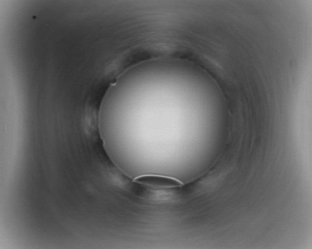 X0000113920528200910011514