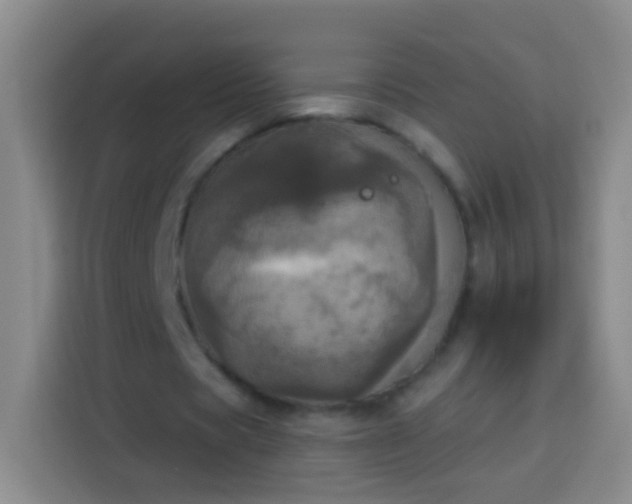 X0000113920529200910011514