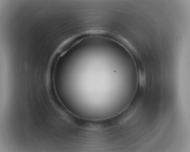 X0000113920531200910011514