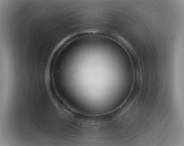 X0000113920532200910011514