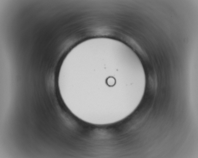 X0000113920534200910011514