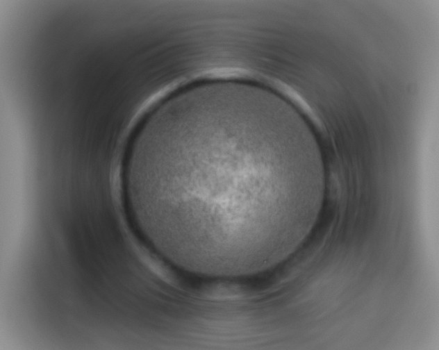 X0000113920535200910011514