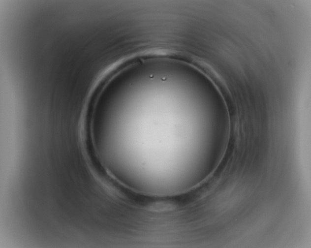 X0000113920536200910011514