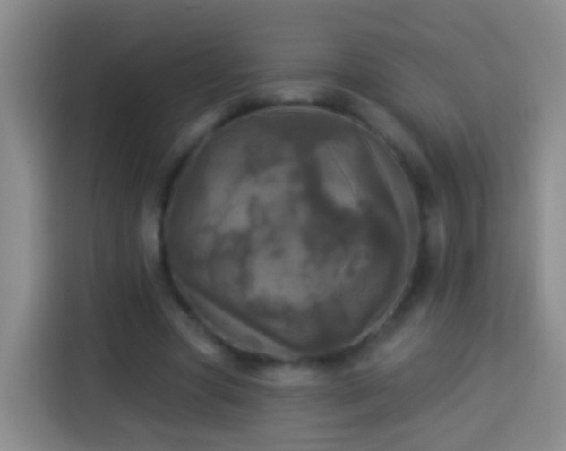 X0000113920537200910011514