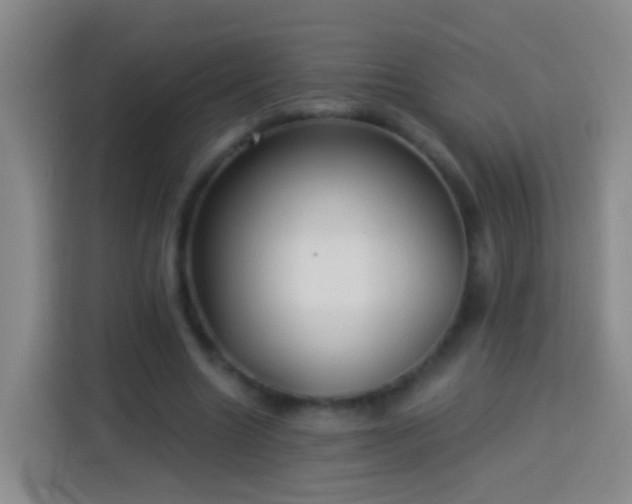 X0000113920538200910011514