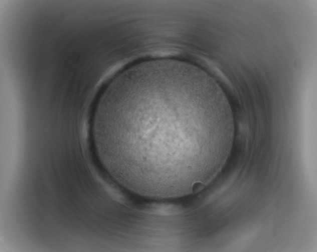 X0000113920539200910011514