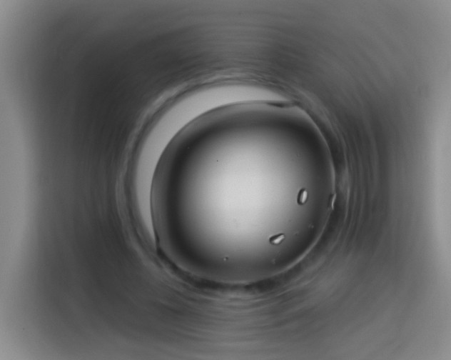 X0000113920540200910011514