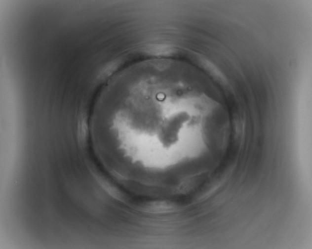 X0000113920541200910011514