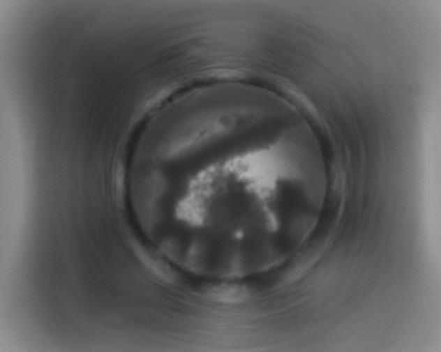 X0000113920542200910011514