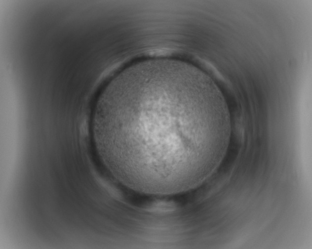 X0000113920543200910011514