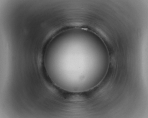 X0000113920544200910011514