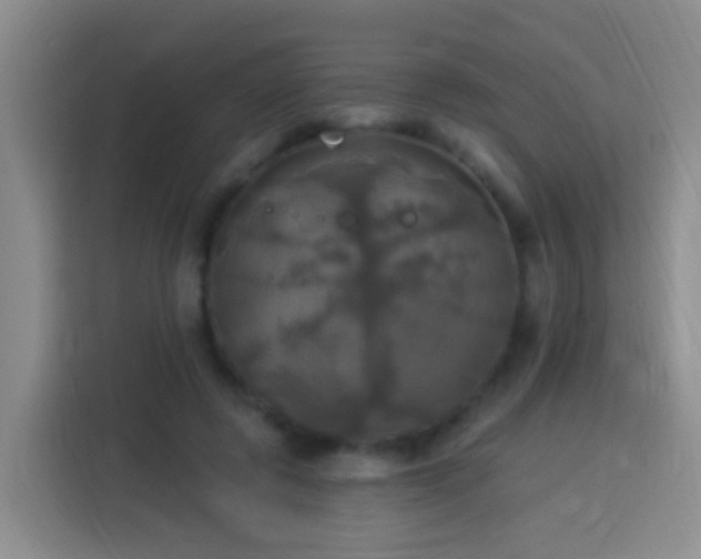 X0000113920545200910011514