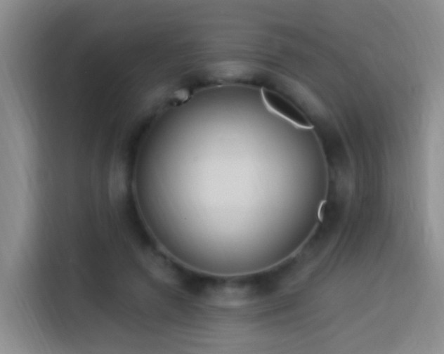 X0000113920546200910011514