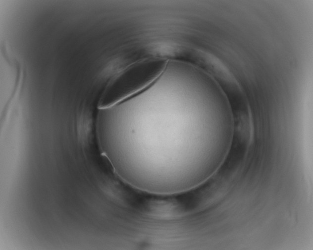 X0000113920548200910011514