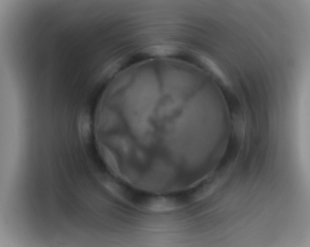 X0000113920549200910011514
