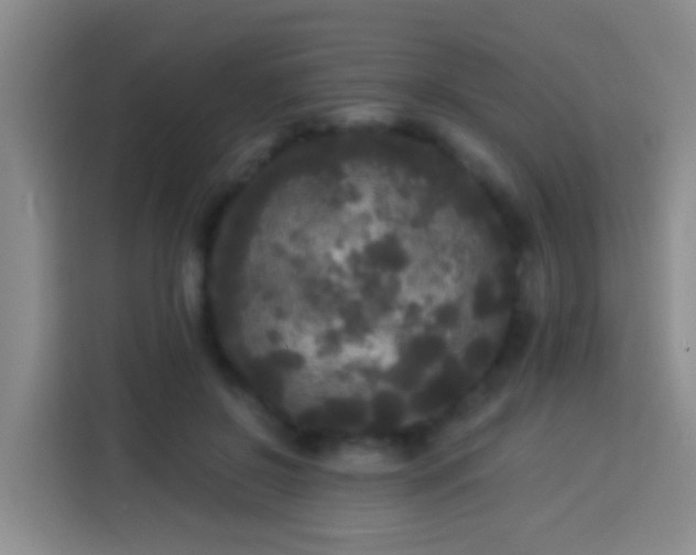 X0000113920550200910011514