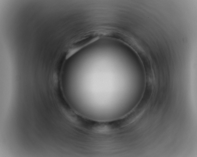 X0000113920551200910011514