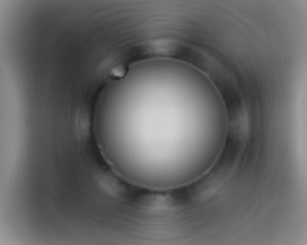X0000113920552200910011514