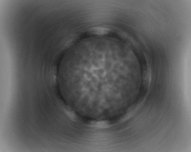 X0000113920553200910011514