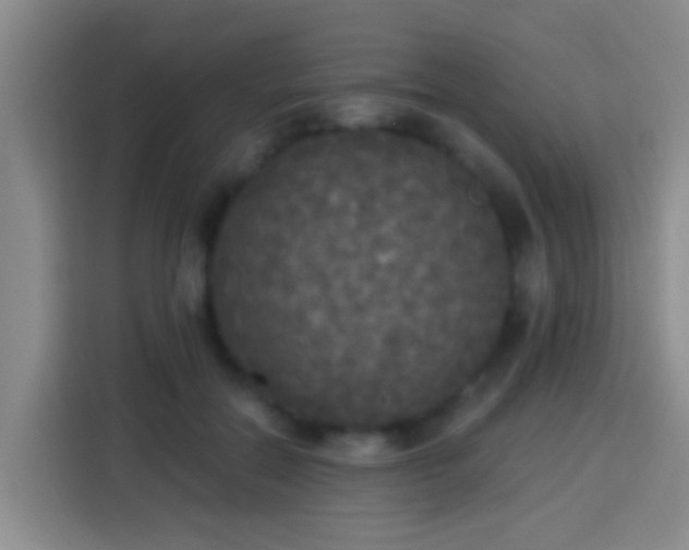 X0000113920554200910011514